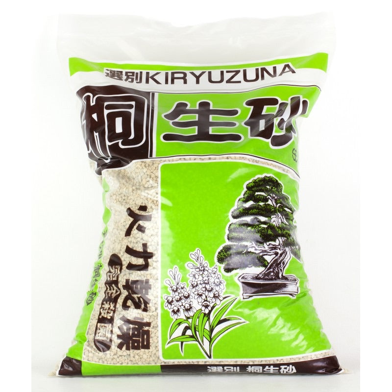 Kiryuzuna grano medio